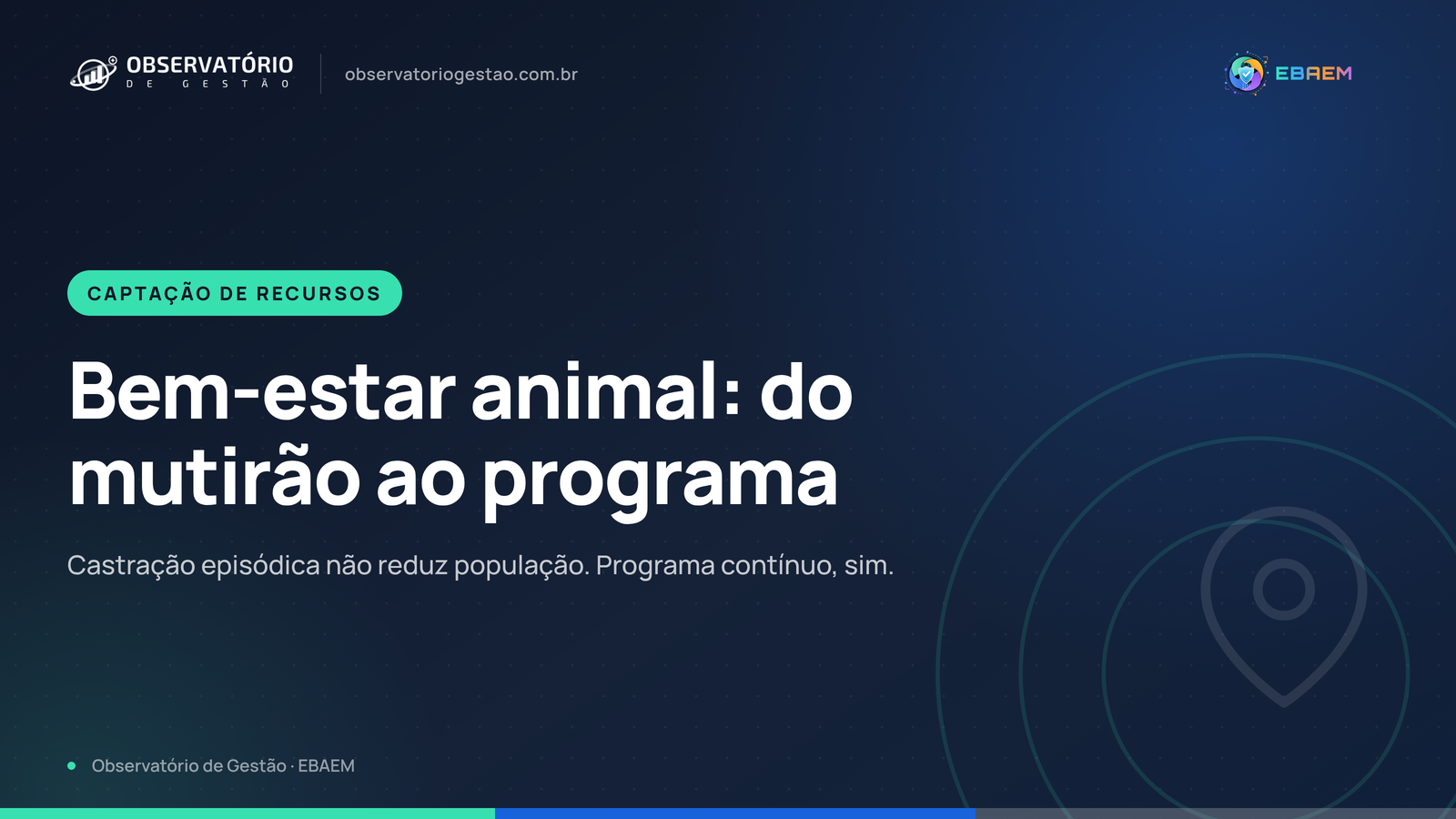 Dia dos Animais: como estruturar um programa municipal de bem-estar animal